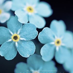 Meet your Posher, Mel